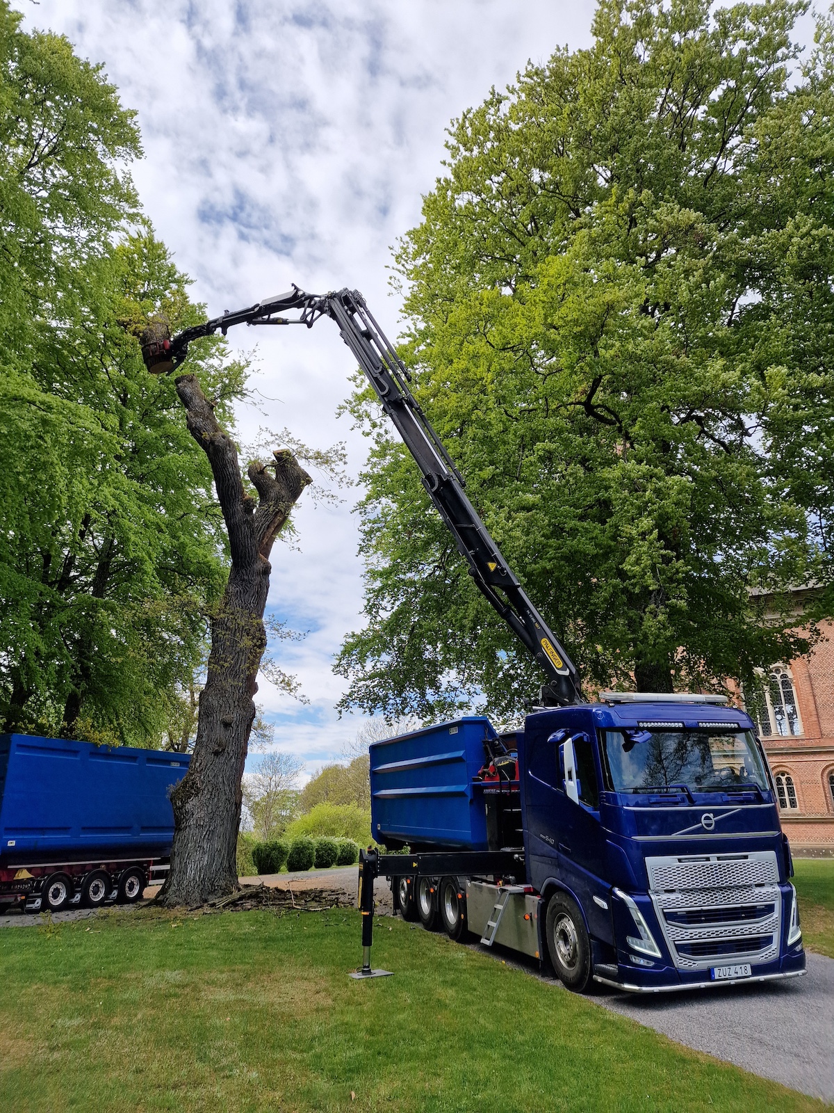 trädfällning i skåne